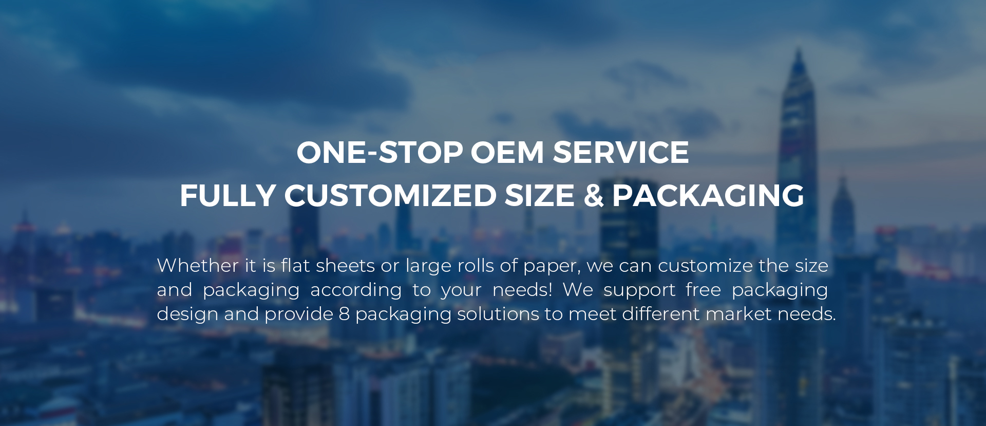 OEM-Services-Banner